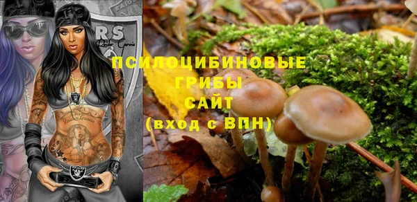 амф Балахна